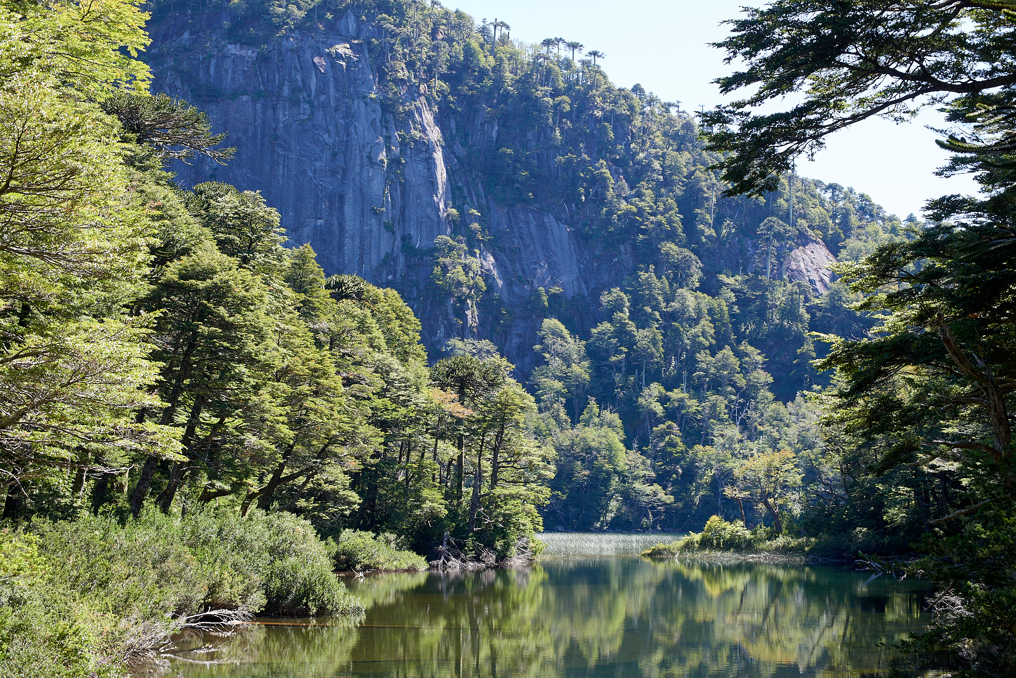 20200317 881 [칠레] 푸콘 우에르케우에 국립공원 트레킹